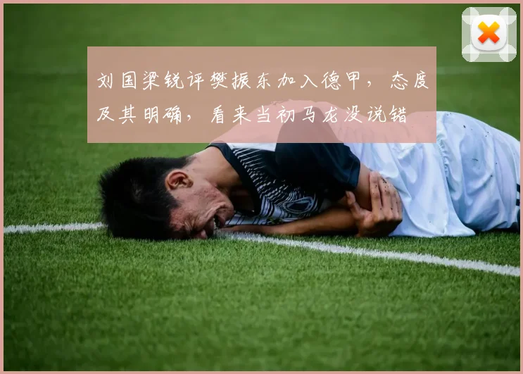 刘国梁锐评樊振东加入德甲，态度及其明确，看来当初马龙没说错