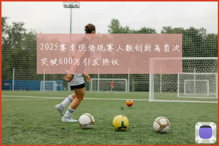 2025赛季现场观赛人数创新高首次突破600万引发热议